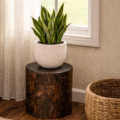 Solid Pine Wood Stump Side Table, Rustic Accent Plant Stand, Cabin Decor
