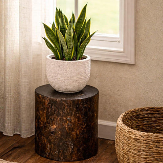 Solid Pine Wood Stump Side Table, Rustic Accent Plant Stand, Cabin Decor