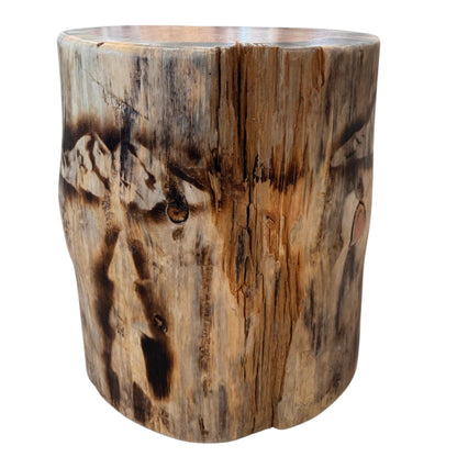 Handmade Torch-Burned Pine Wood Stump Table, Rustic Log Plant Stand, Cabin Decor Accent Furniture