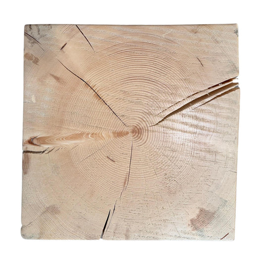 Square Spruce Stump Plant Stand, Rustic Woodland Cabin Decor Side Table