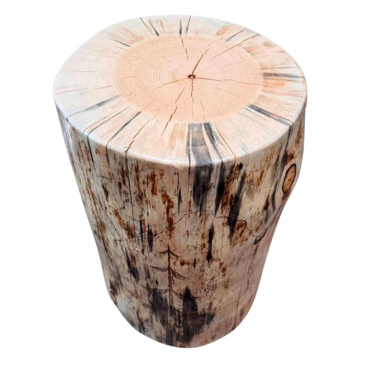 Handmade Wood-Burned Spruce Stump Plant Stand, Woodland Cabin Decor Accent Table