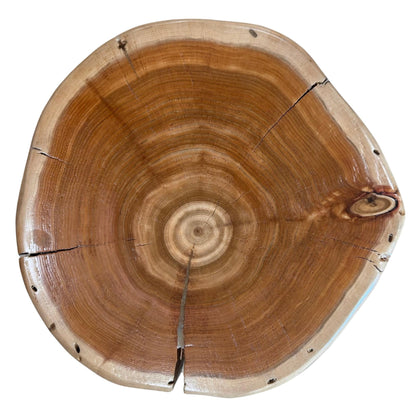 Cedar Stump Side Table with Hole, Rustic Plant Stand, Solid Wood Stool, Natural Lacquer Finish