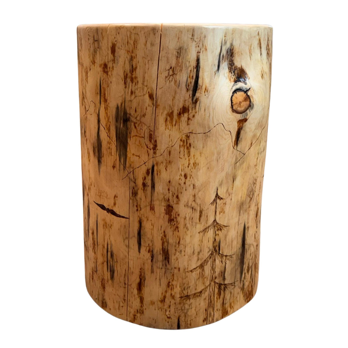 Handmade Wood-Burned Spruce Stump Plant Stand, Woodland Cabin Decor Accent Table