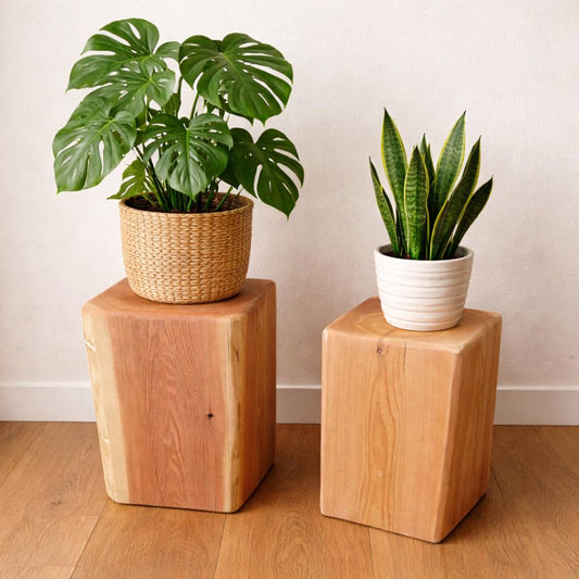 Square Cedar Stump Plant Stand, Rustic Live Edge Cowboy Stump, Natural Accent Table