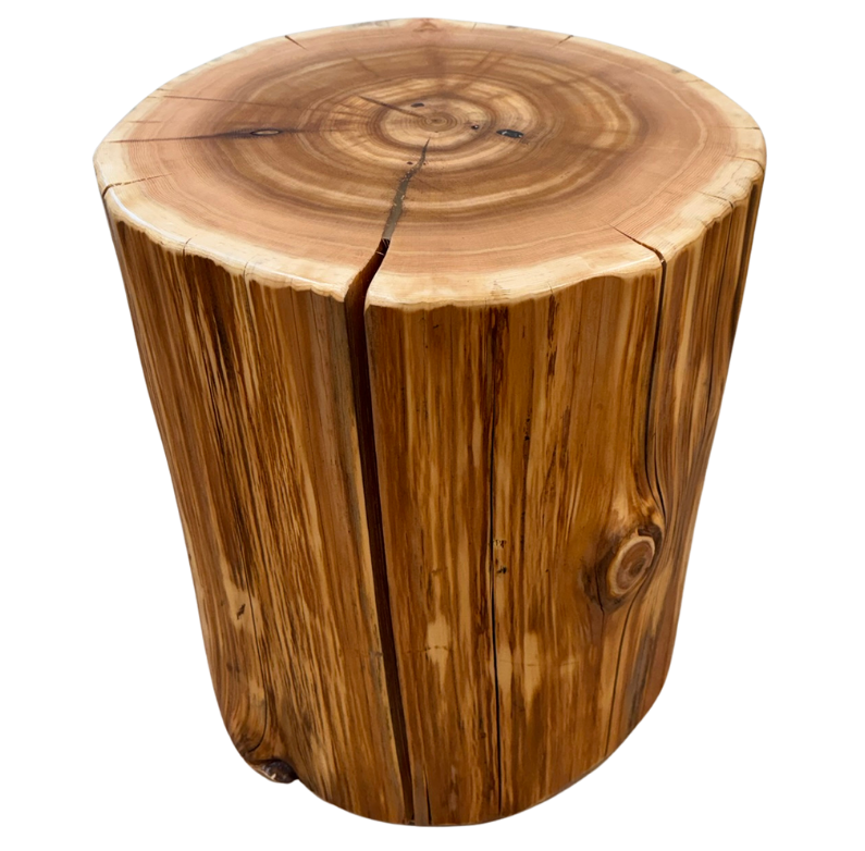Cedar Stump Side Table, Rustic Plant Stand, Solid Wood Stool, Natural Lacquer Finish
