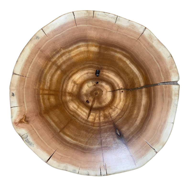 Cedar Stump Side Table, Rustic Plant Stand, Solid Wood Stool, Natural Lacquer Finish