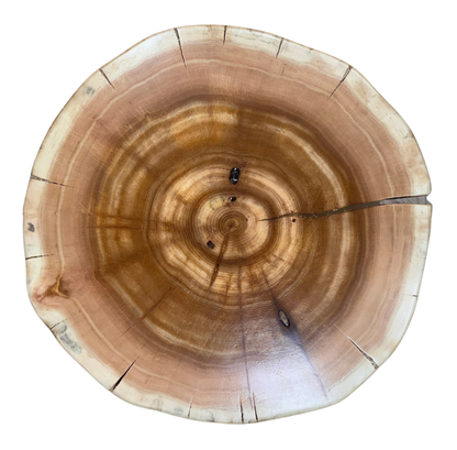 Cedar Stump Side Table, Rustic Plant Stand, Solid Wood Stool, Natural Lacquer Finish