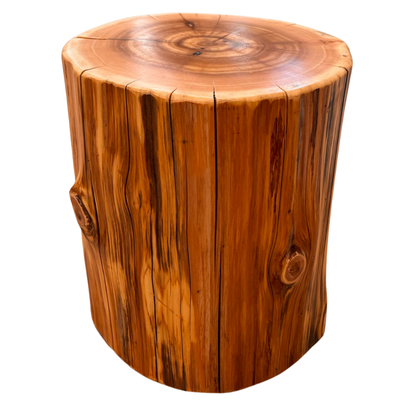 Cedar Stump Side Table, Rustic Plant Stand, Solid Wood Stool, Natural Lacquer Finish