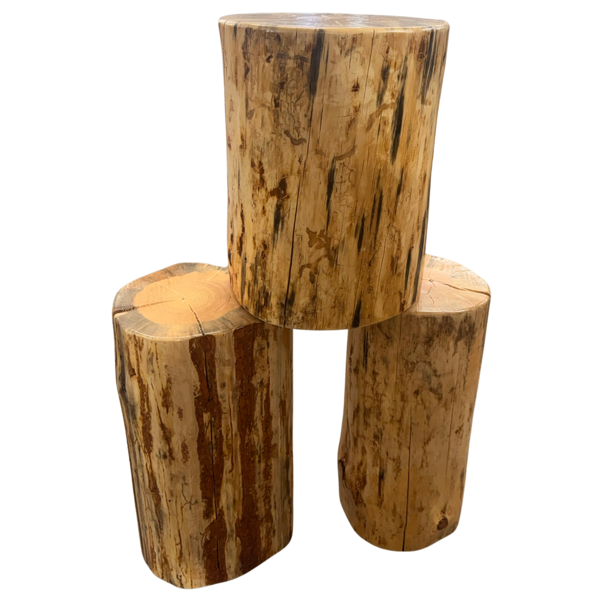Cedar Stump Side Table, Rustic Plant Stand, Solid Wood Stool, Natural Lacquer Finish