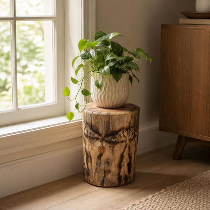 Handmade Torch-Burned Pine Wood Stump Table, Rustic Log Plant Stand, Cabin Decor Accent Furniture