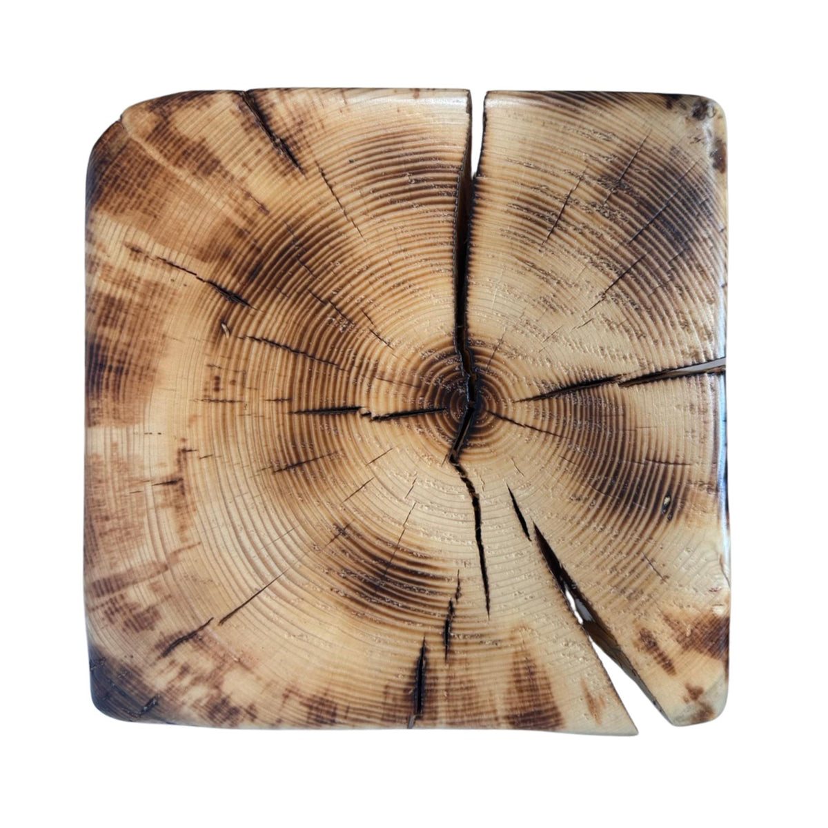 Handmade Spruce/Pine Torch Burned Stump Side Table, Solid Wood Woodland Decor Accent Table