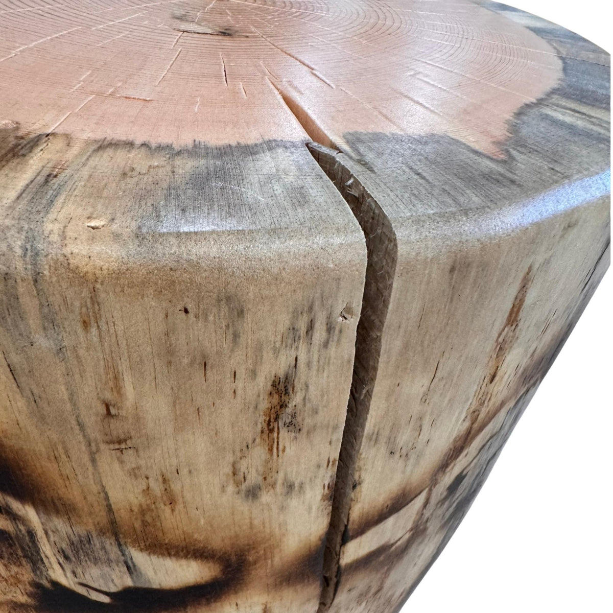 Handmade Torch-Burned Pine Wood Stump Table, Rustic Log Plant Stand, Cabin Decor Accent Furniture