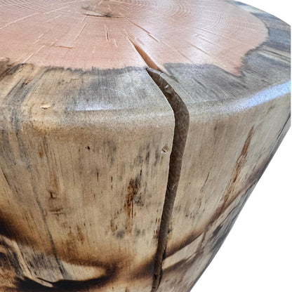 Handmade Torch-Burned Pine Wood Stump Table, Rustic Log Plant Stand, Cabin Decor Accent Furniture