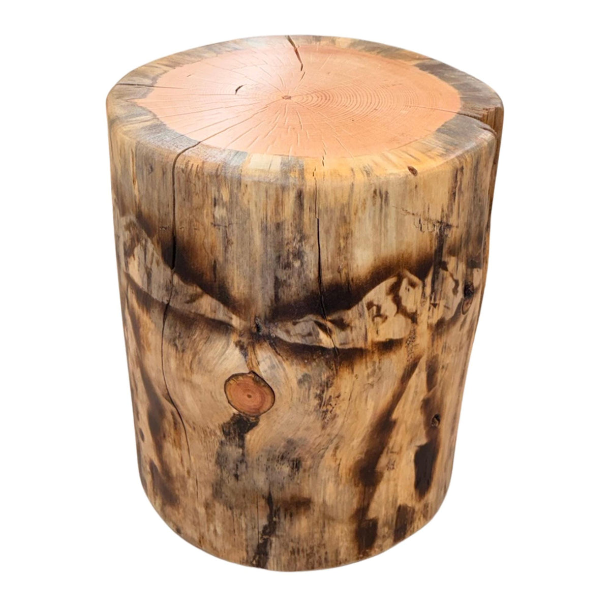 Handmade Torch-Burned Pine Wood Stump Table, Rustic Log Plant Stand, Cabin Decor Accent Furniture