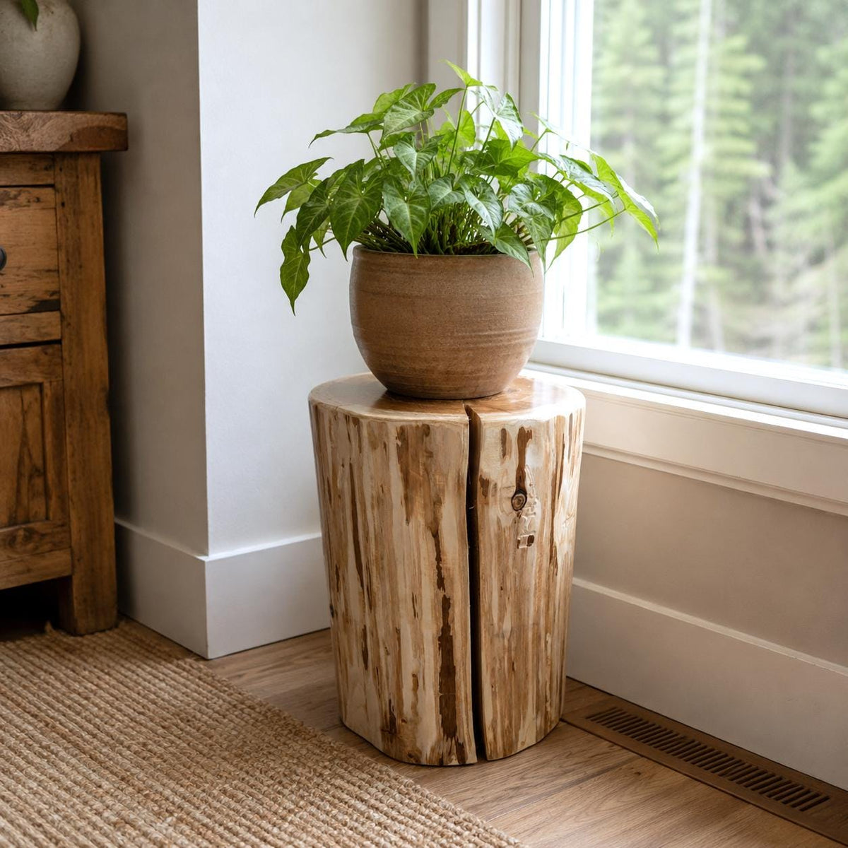 Cedar Stump Side Table, Rustic Plant Stand, Solid Wood Stool, Natural Lacquer Finish