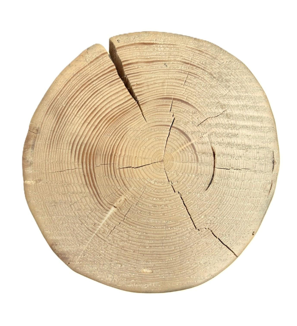 Handmade Wood-Burned Spruce Stump Plant Stand, Woodland Cabin Decor Accent Table